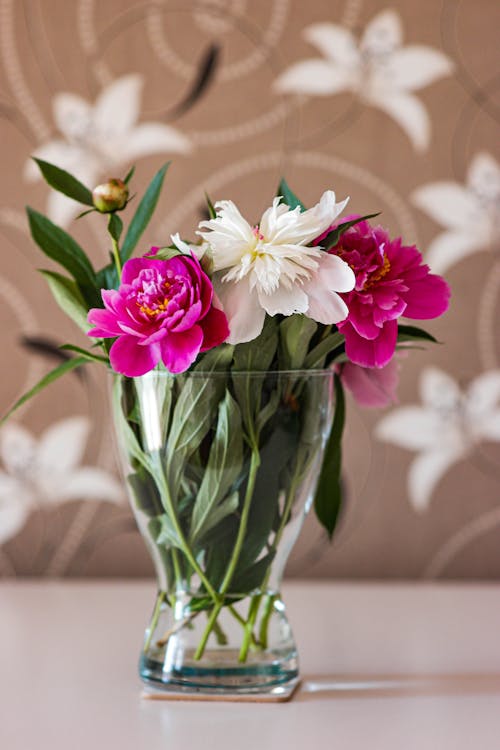Photo Of Flowers On Vase