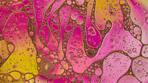 Free Colorful abstract design featuring pink and yellow bubbles with intricate patterns. Stock Photo