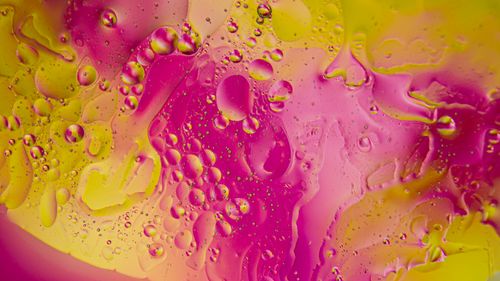 Free Colorful abstract image showcasing bubbles in oil and water with vibrant pink and yellow hues. Stock Photo