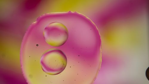 Free Vibrant abstract art with pink and yellow liquid droplets, creating a mesmerizing pattern. Stock Photo