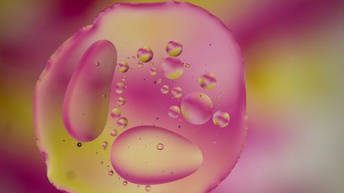 Free Colorful abstract macro showcasing oil bubbles on water, creating a vivid artistic effect. Stock Photo
