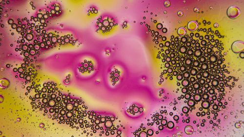 Free Colorful abstract image of oil bubbles on water creating a vibrant pattern. Stock Photo