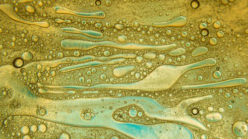 Free Close-up of abstract oil and water bubbles in golden hues, highlighting unique patterns and textures. Stock Photo