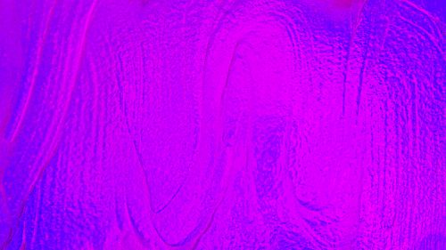 Free stock photo of neon, wallpaper Stock Photo