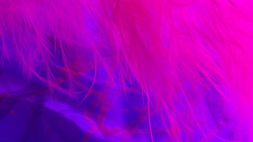 Free stock photo of neon, wallpaper Stock Photo
