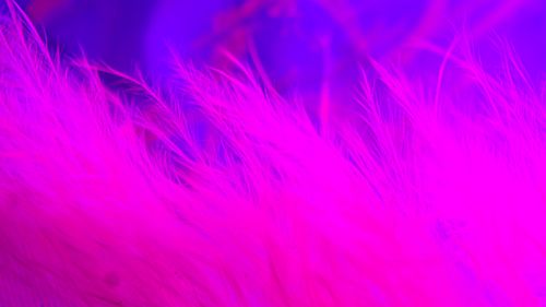 Free stock photo of neon, wallpaper Stock Photo