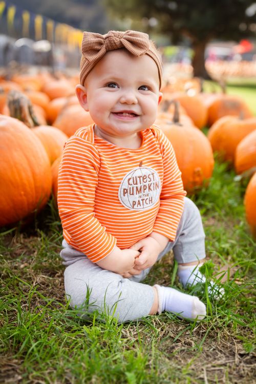 Free Smiling toddler wearing headband sitting in pumpkin patch during fall season. Stock Photo