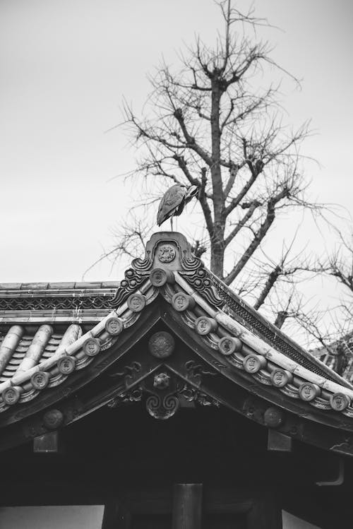 Grayscale Photo of Roof With Bare Tree