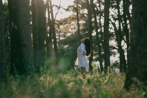 Free A woman in a white dress enjoys the tranquility of a sunlit forest, breathing fresh air amidst tall trees. Stock Photo