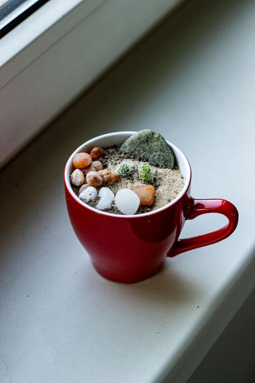 Free Succulent terrarium in a red mug with rocks on a windowsill, showcasing a unique decorative idea. Stock Photo