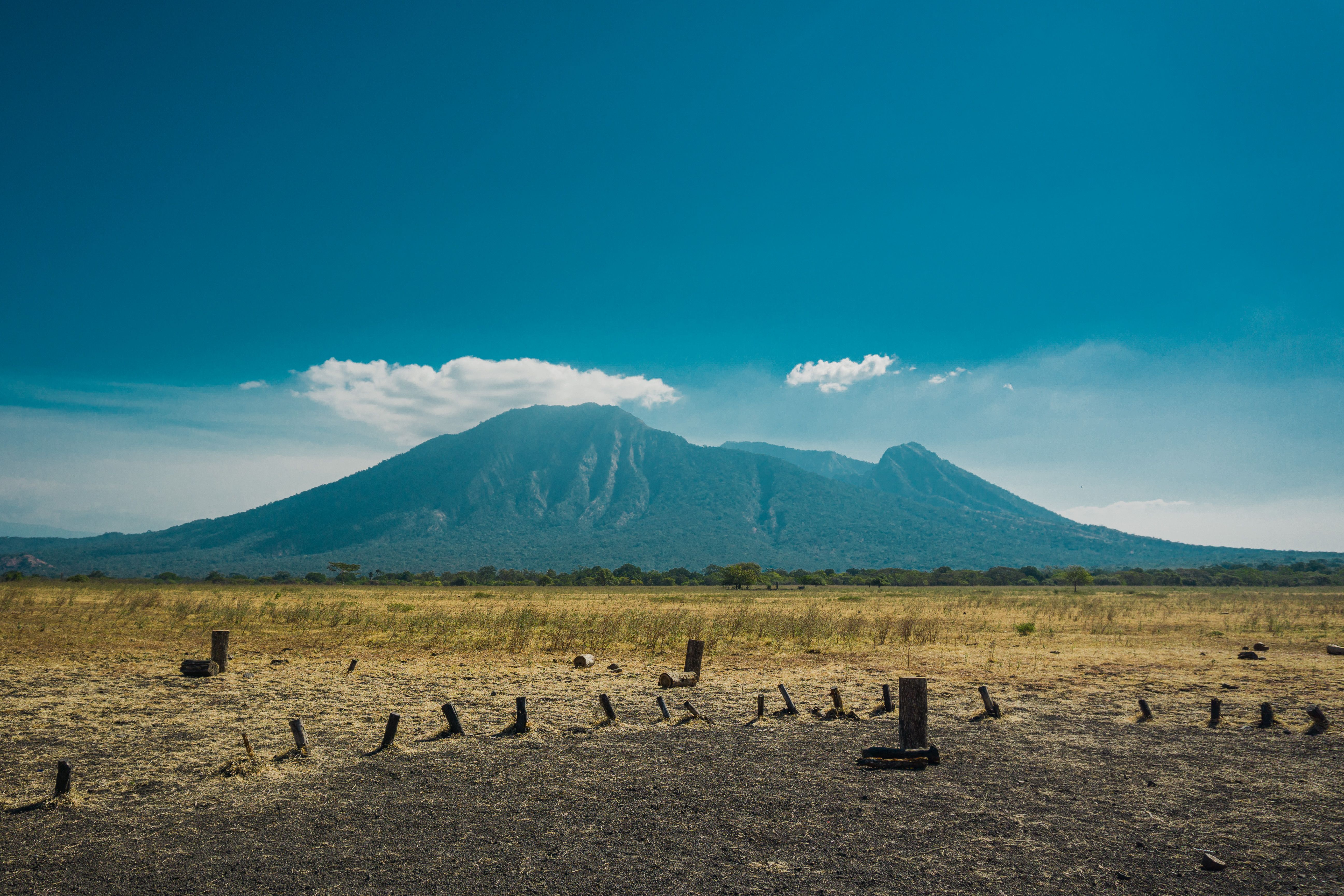 Taman Nasional Baluran