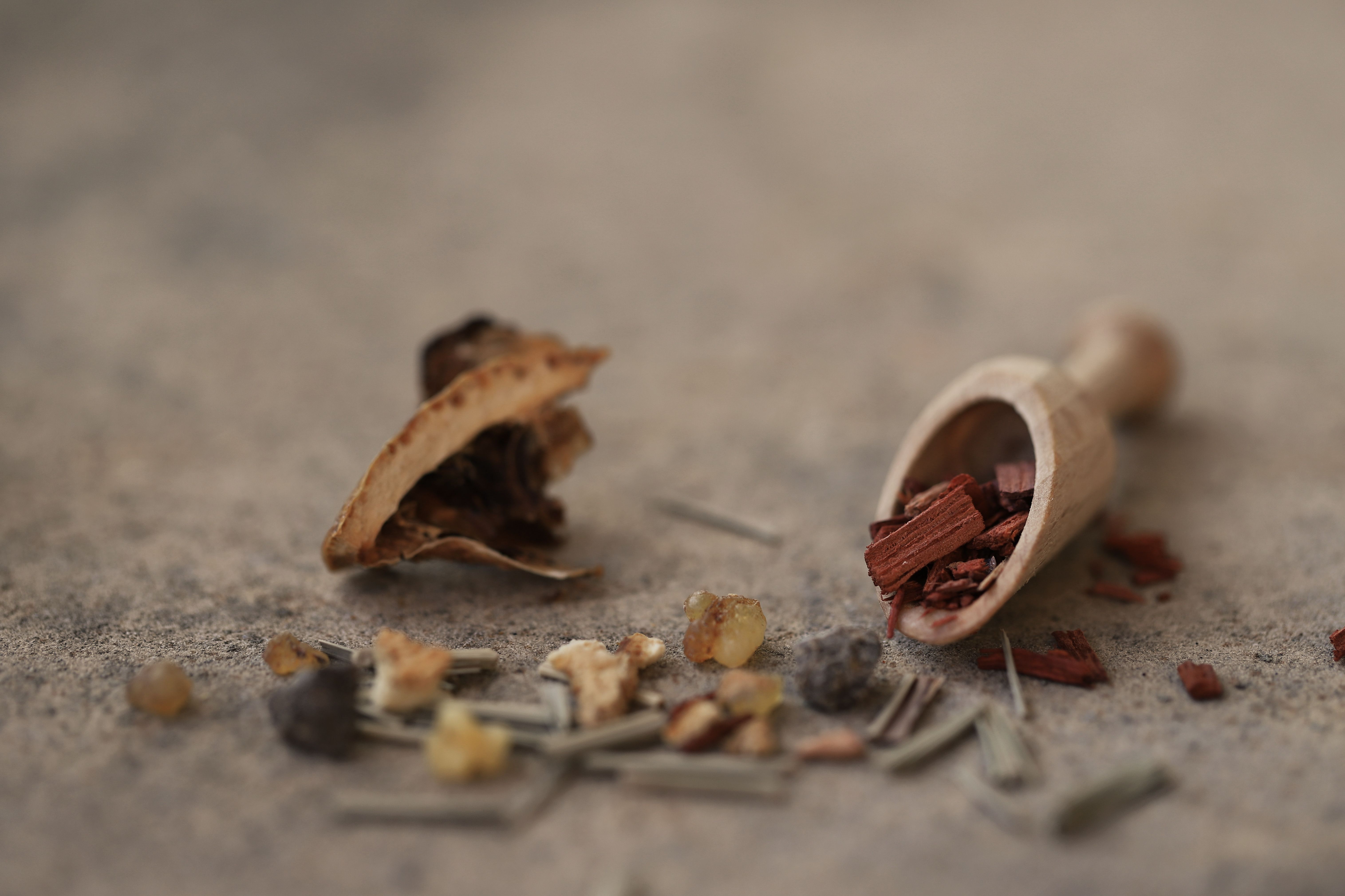 Sandalwood Powder: Ancient Herbal Wisdom for Skin, Spirit, and Ritual
