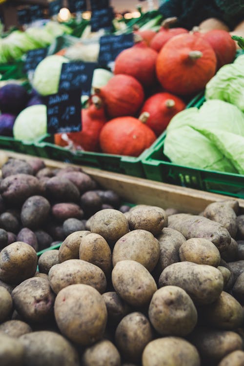 Photo Of Assorted Vegetables