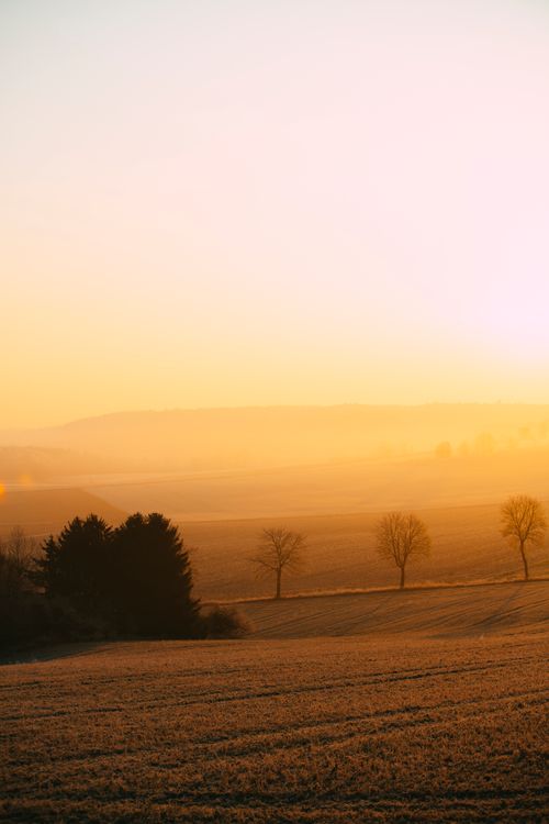 Free Picturesque scenery of peaceful terrain with trees and bushes under colorful sky in evening Stock Photo