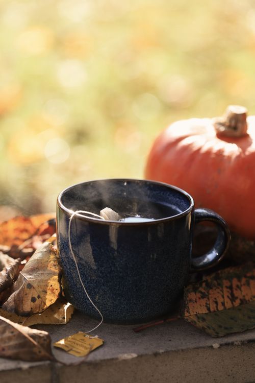 Free Warm tea in a blue mug surrounded by autumn leaves and a pumpkin, symbolizing fall comfort. Stock Photo