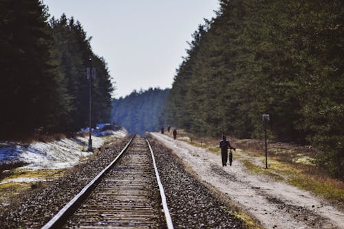 天性, 火車, 立陶宛 的 免費圖庫相片