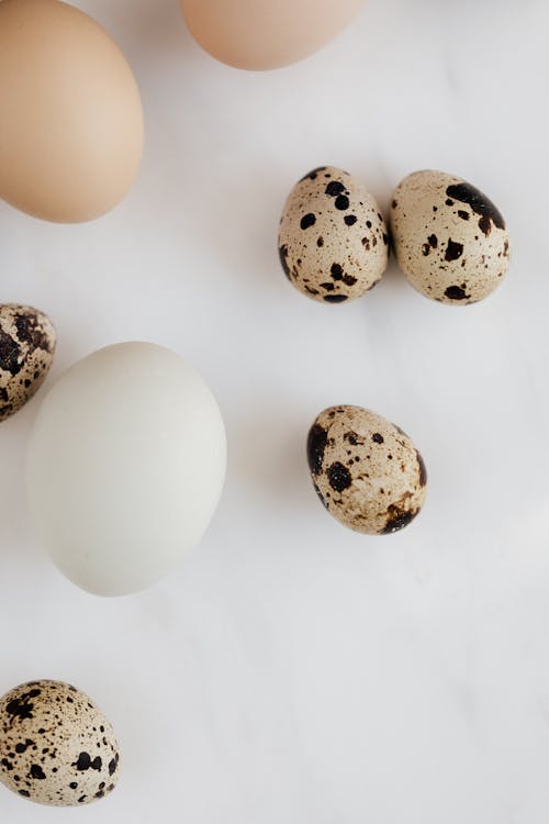 Set of chicken and quail eggs against gray background in kitchen