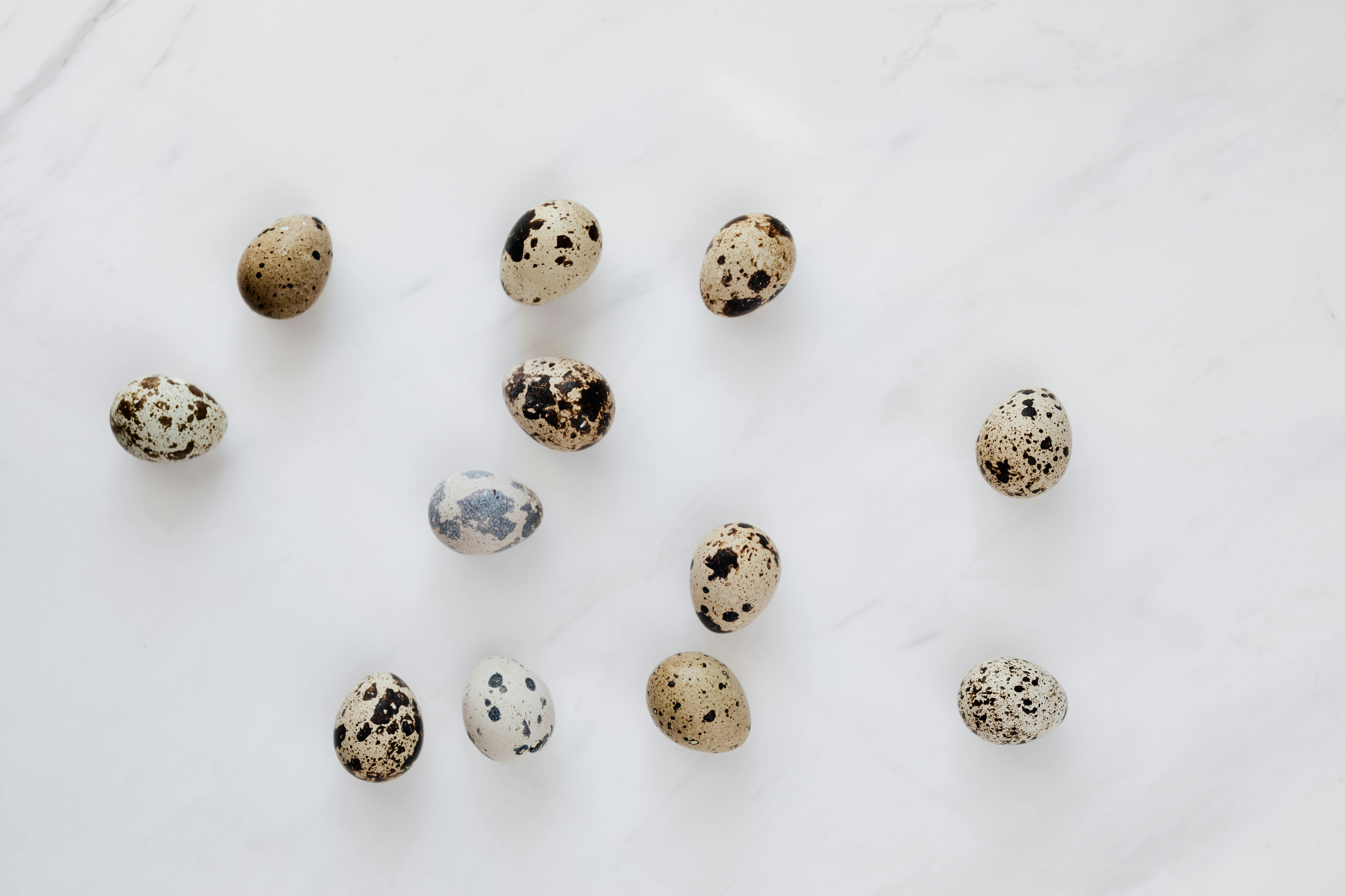 Why shouldnt you eat eggs everyday?