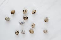 白色桌子上散乱摆放的天然鹌鹑蛋的俯视图，拍摄于厨房烹饪过程中