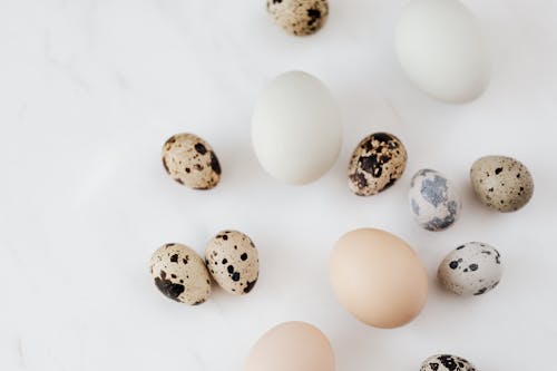 Top view of fragile quail and chicken eggs scattered on marble surface before cooking