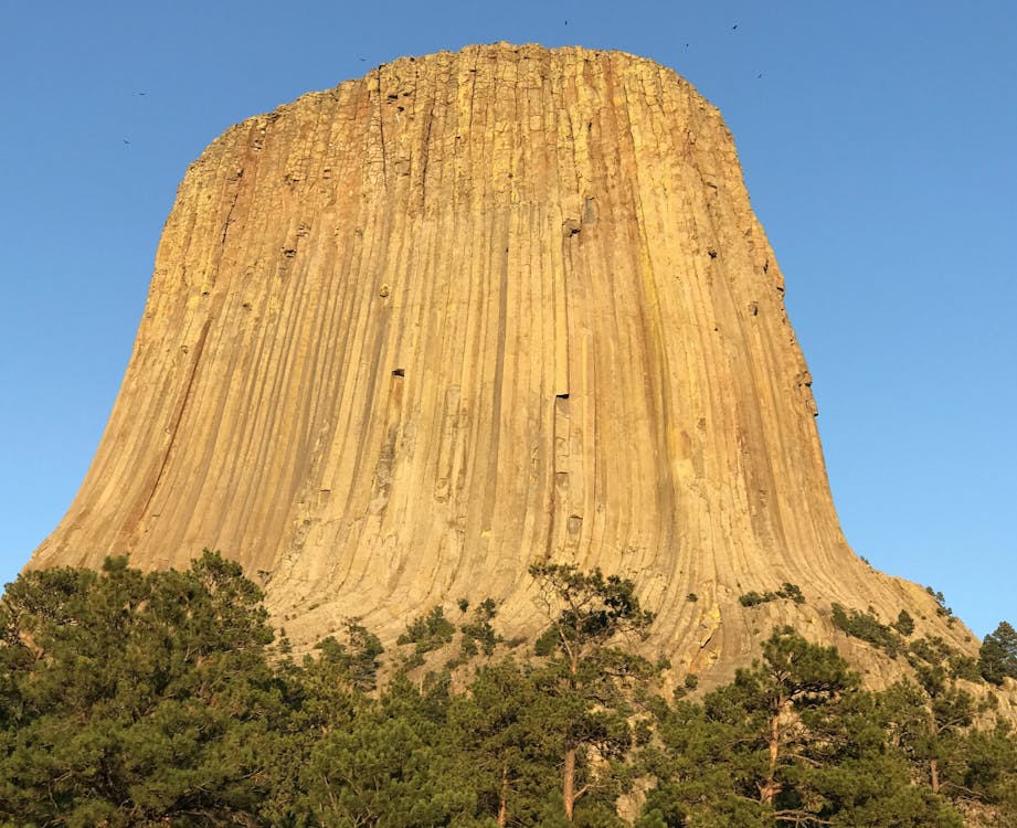 馬斯克抨擊加拿大醫院印度裔男子死亡事件:政府醫療官僚主義如何威脅2025年全球醫療公平? 馬斯克抨擊加拿大醫院印度裔男子死亡事件:政府醫療官僚主義如何威脅2025年全球醫療公平?