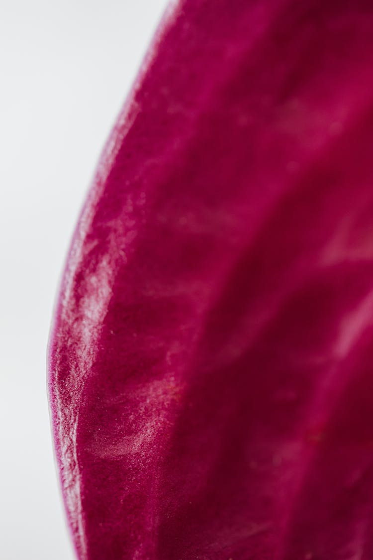 Purple Covering Of Anthurium Flower