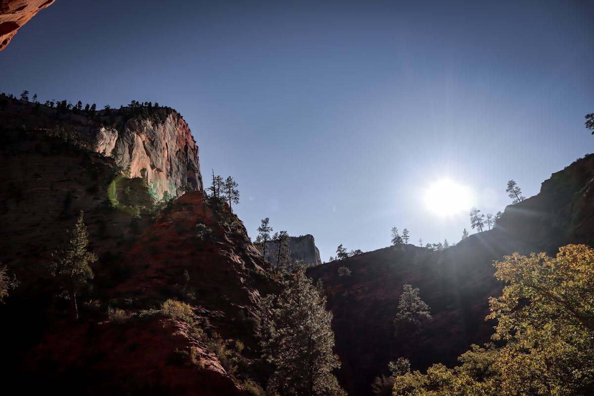 Bright green matcha yogurt being whisked in a glass bowl
