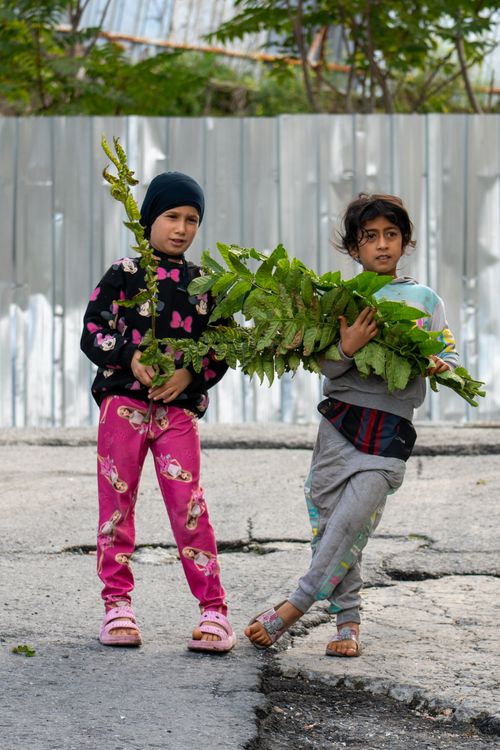 Free Two children stand outdoors holding large green leaves, showcasing urban life and natural connection. Stock Photo