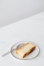 Homemade sweet dessert served on plate