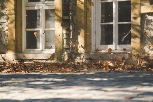 Free Fallen autumn leaves in front of vintage stone building windows in Bielefeld. Stock Photo