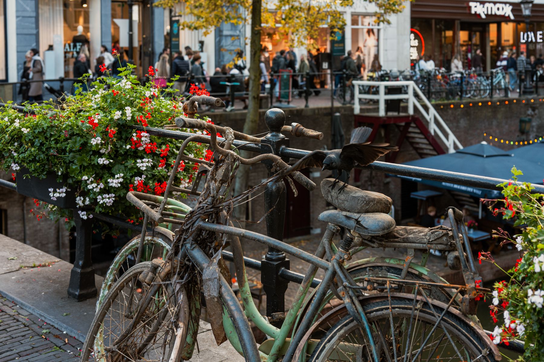 Utrecht with a Baby: Prams, Lifts and Calm Places to Pause