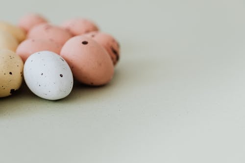 Darmowe zdjęcie z galerii z jajka, kopiowanie, kropkowany