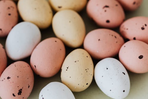 Darmowe zdjęcie z galerii z jajka, kropkowany, martwa natura