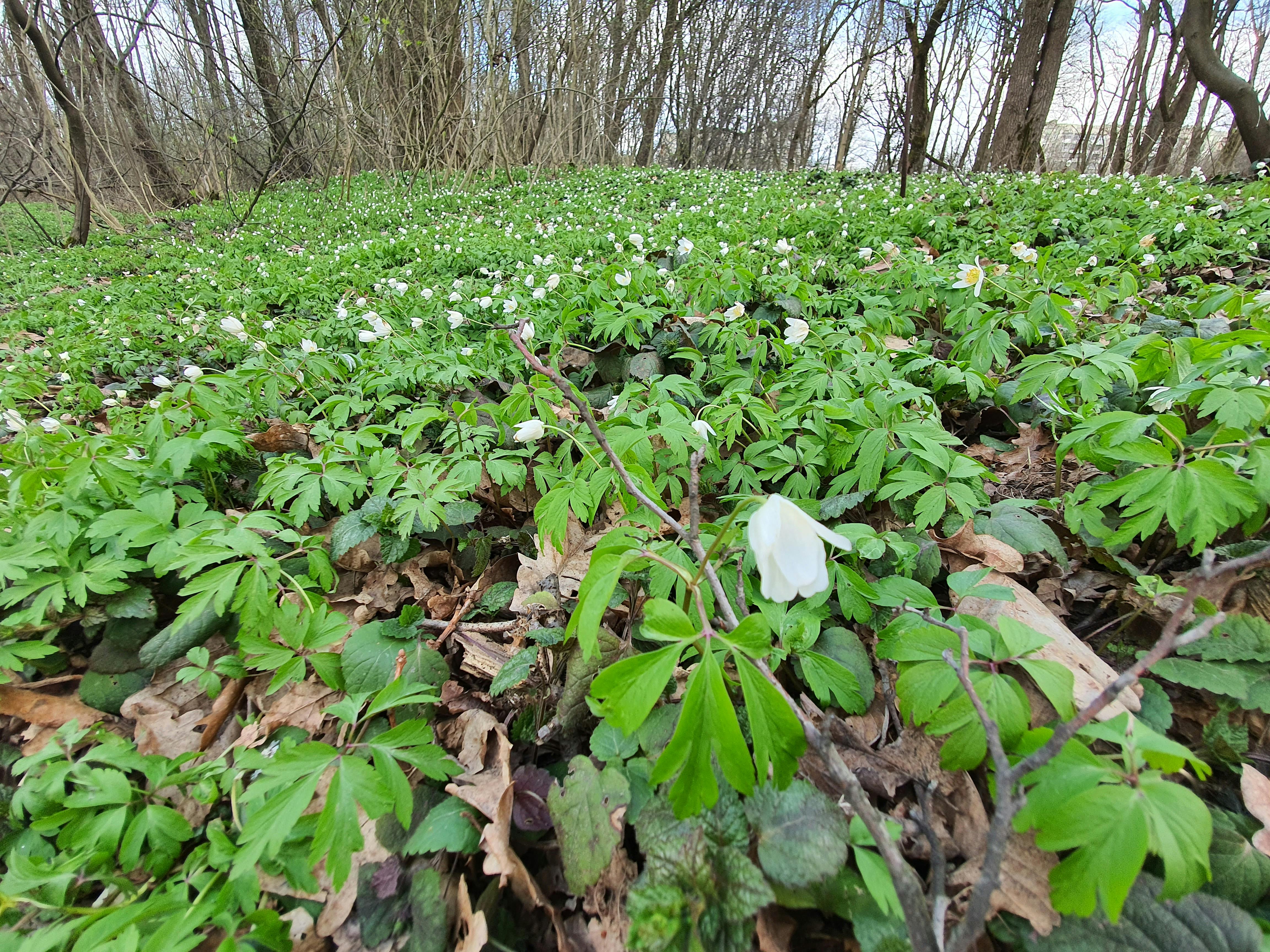 A collection of unique handmade Etsy gift ideas including pottery and jewelry.