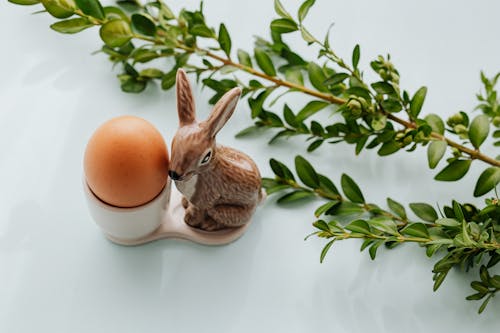 Free Δωρεάν στοκ φωτογραφιών με αυγό, εποχής, Καλό Πάσχα Stock Photo
