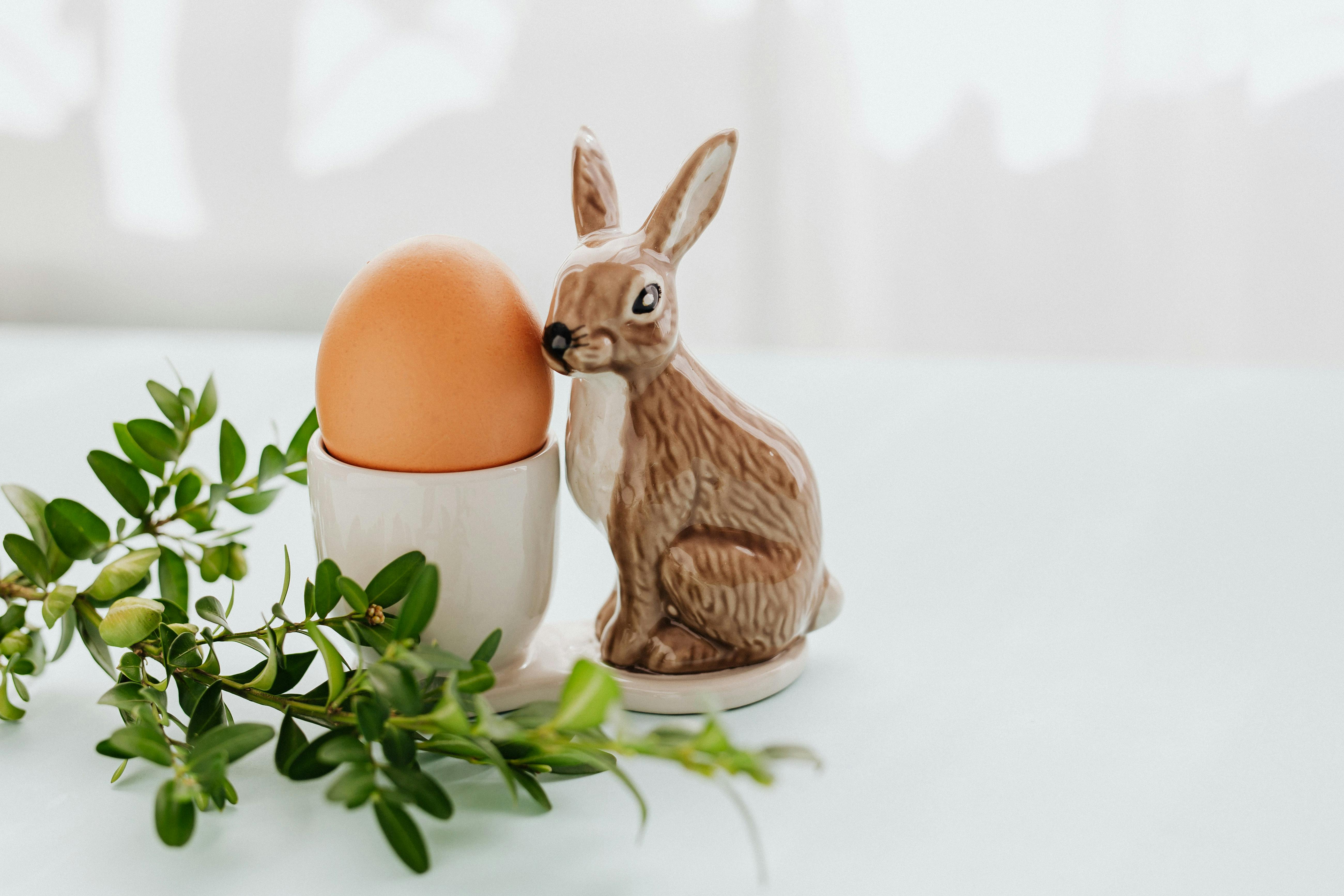 egg and ceramic rabbit