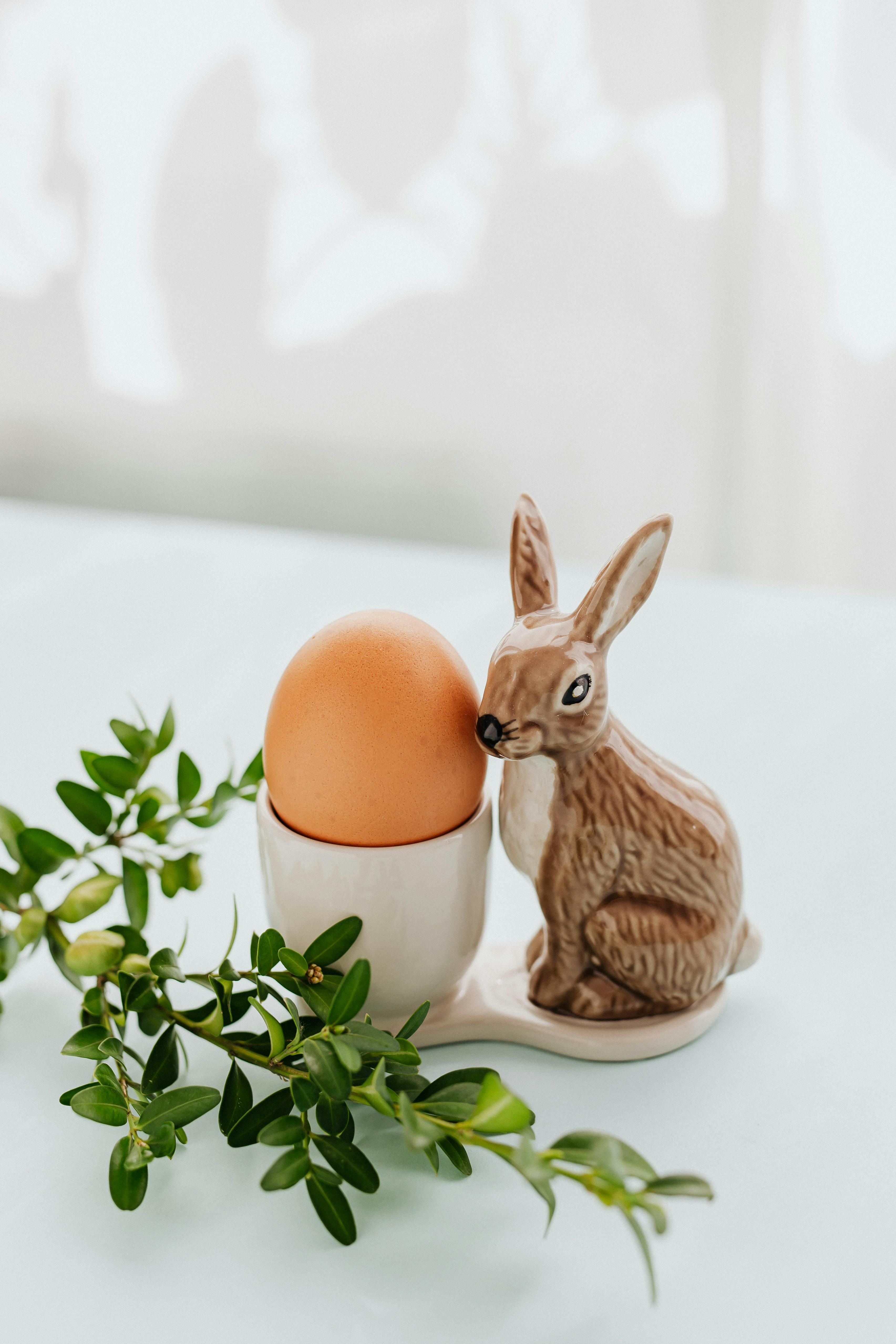 Easter Bunny adorable funny bunnies aesthetic bunny rabbit easter egg  gift HD phone wallpaper  Peakpx