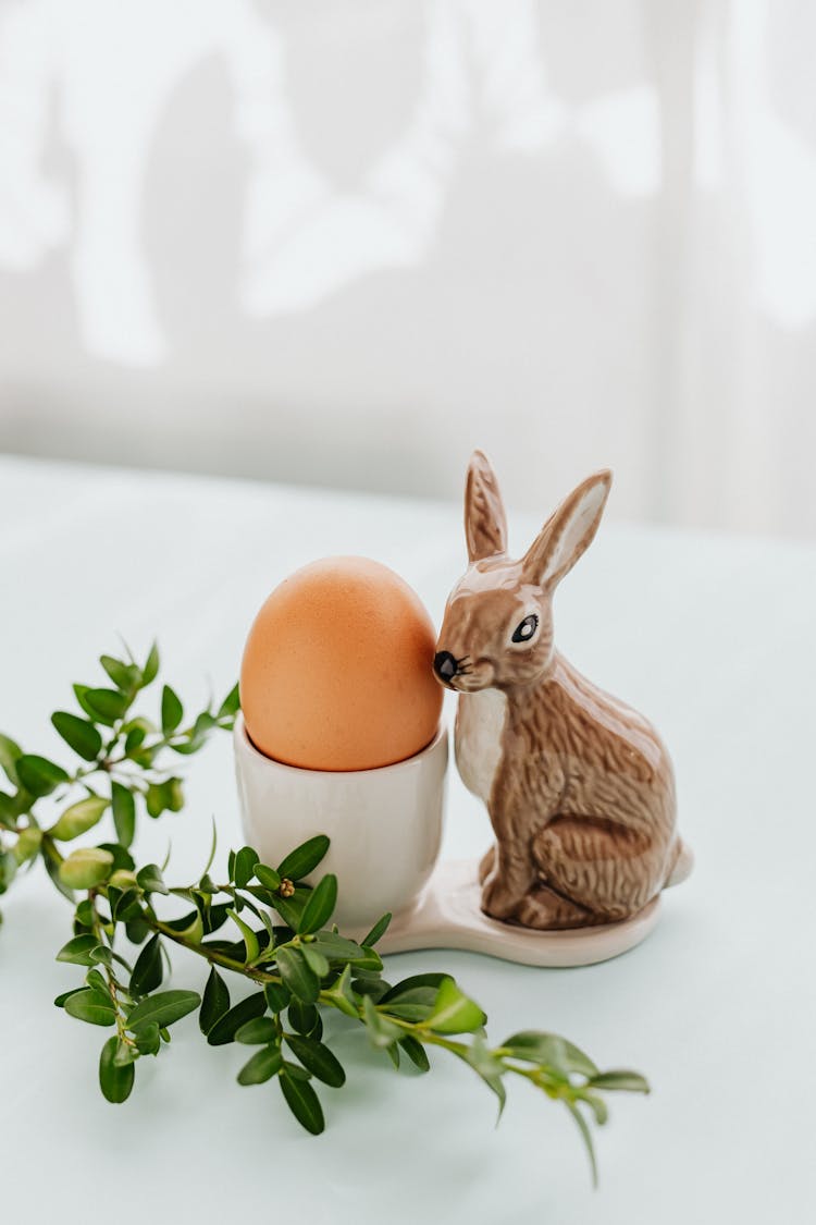 Egg And Ceramic Rabbit