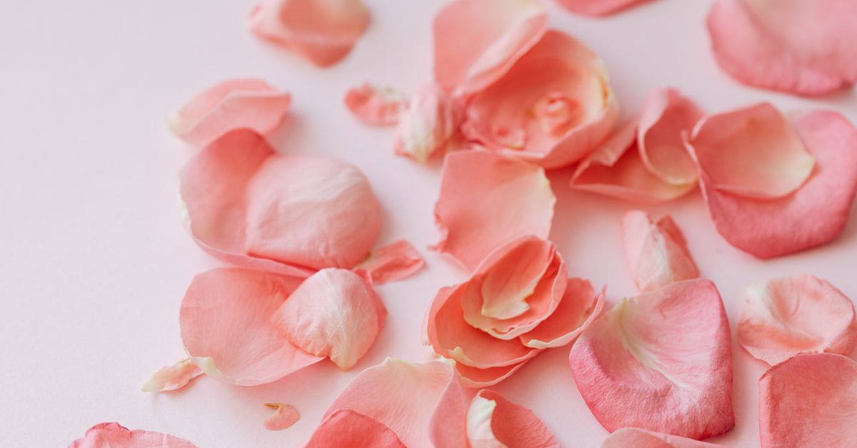 Scattered rose petals on table · Free Stock Photo