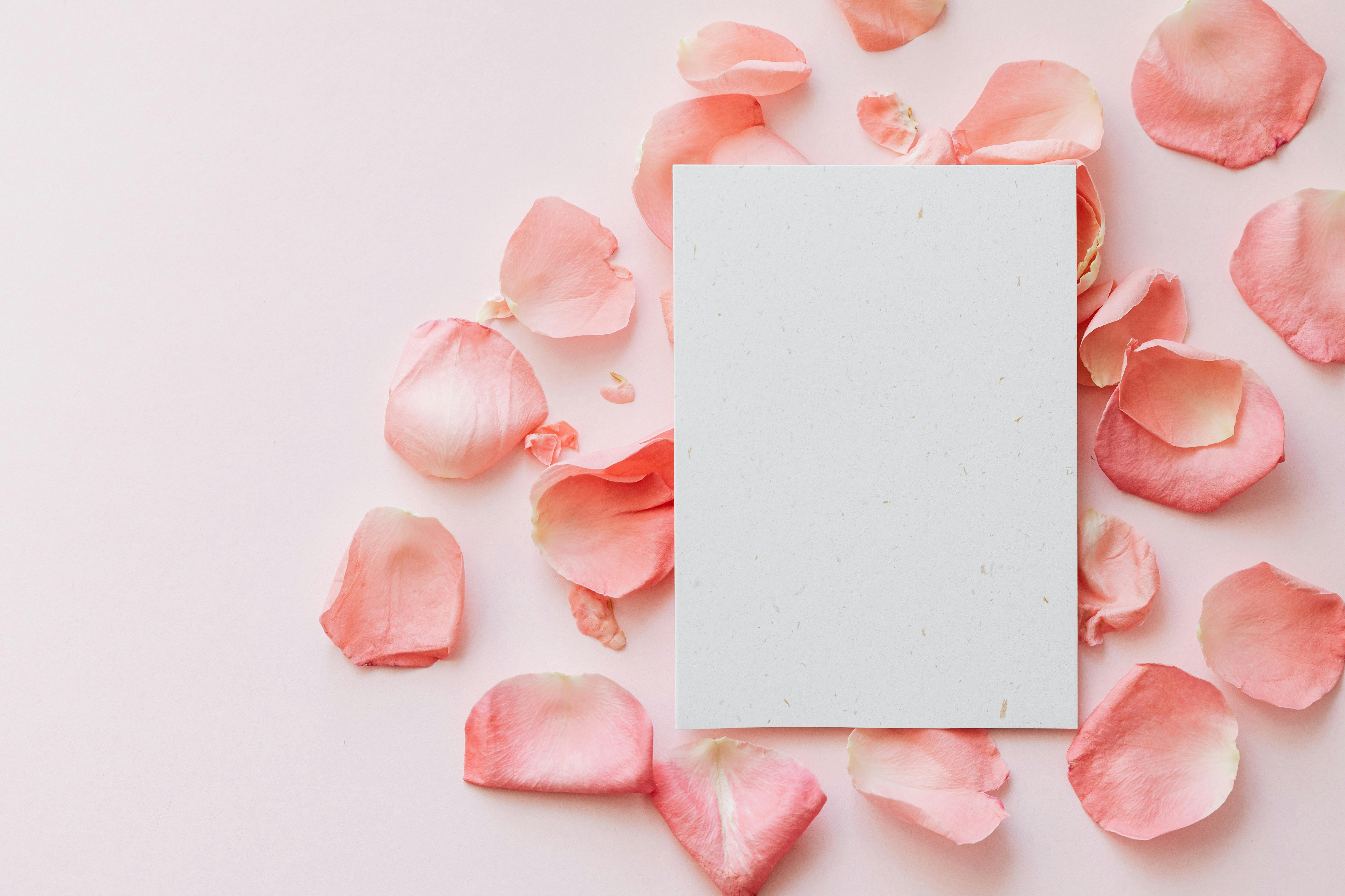 Red roses, petals, lollipops and chocolates creative composition layout.  Photograph by Milleflore Images - Pixels