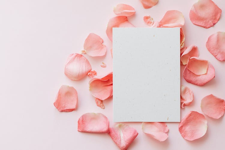 Pink Petals Of Roses And Sheet Of Paper On Table