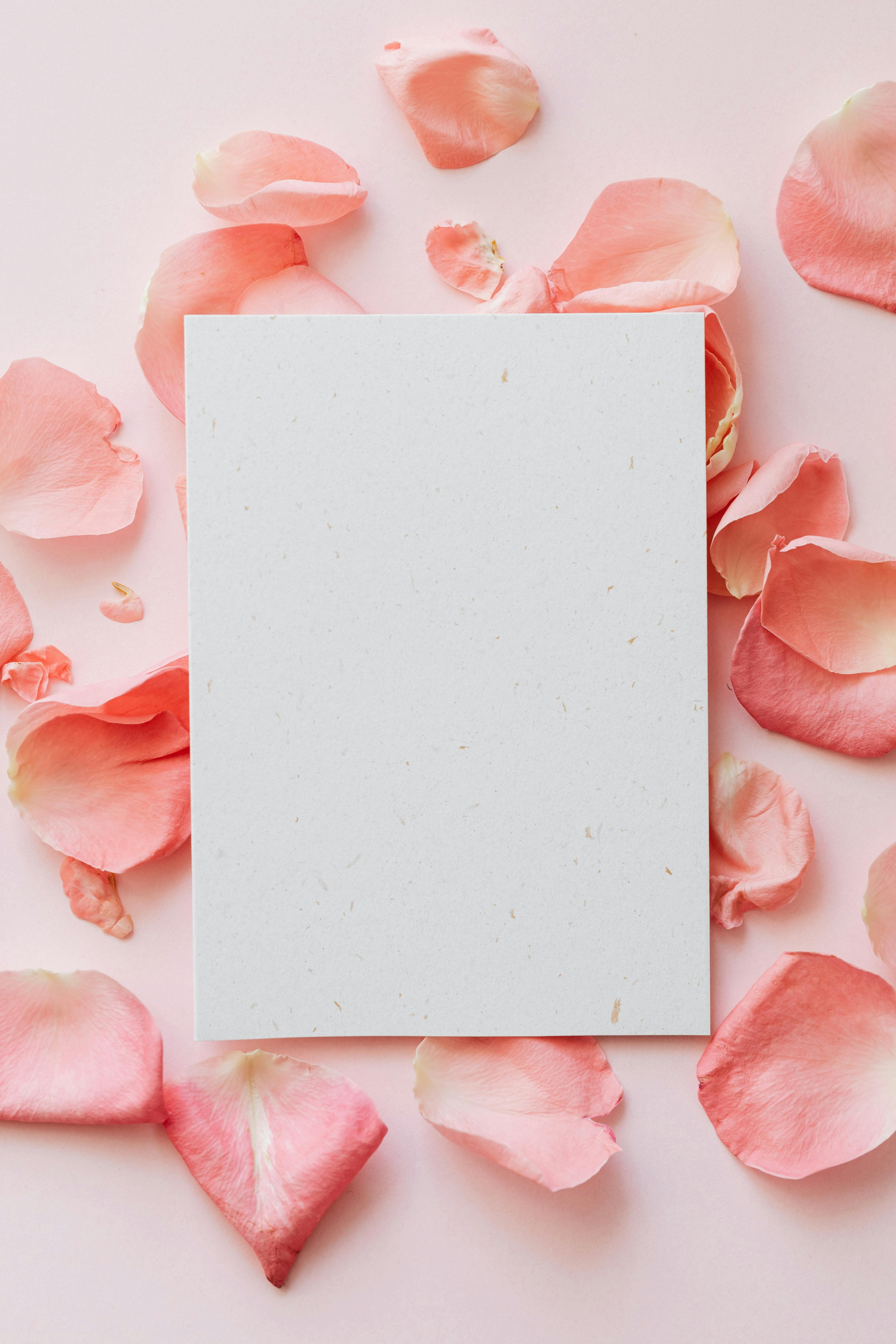 Download Rose Gold Rose Flower Wallpaper  Wallpaperscom