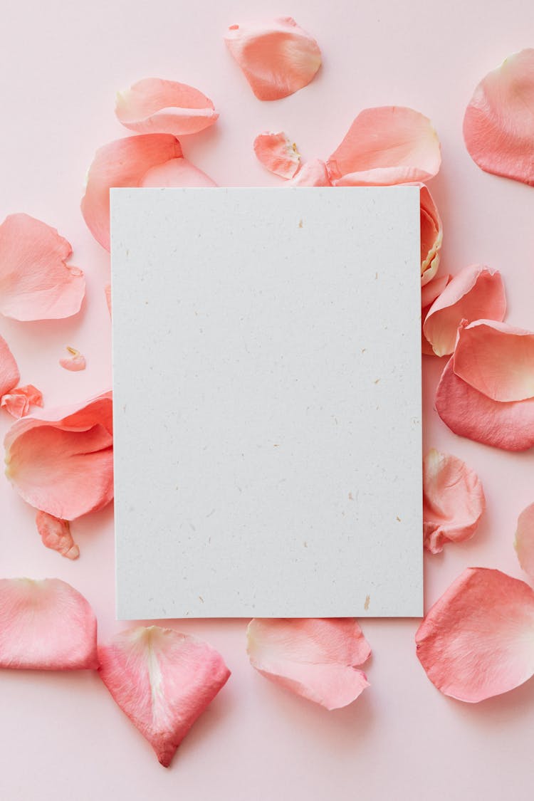 Fresh Flowers Petals And Sheet Of Paper On Pink Surface