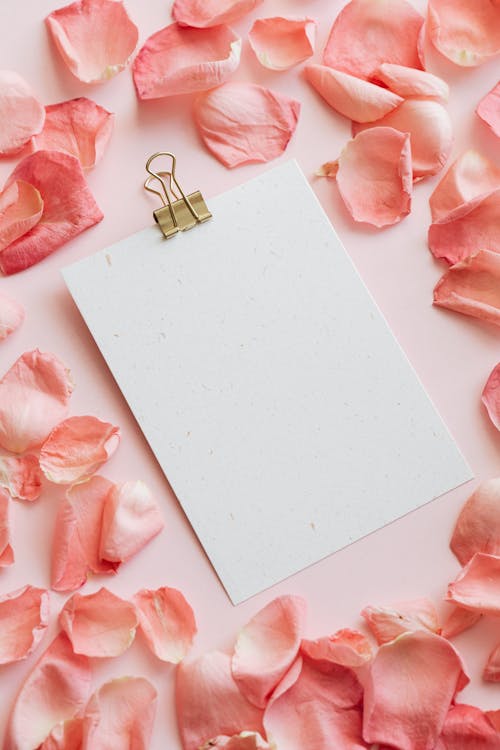 Top view of bunch of pink petals of roses  placed on pink surface around clipboard