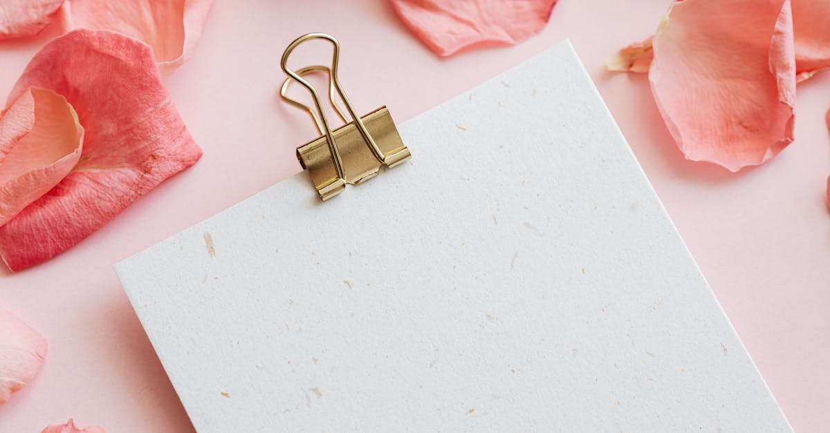 What does vivid mean in writing
