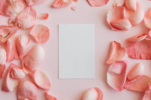 Piece of paper among rose petals