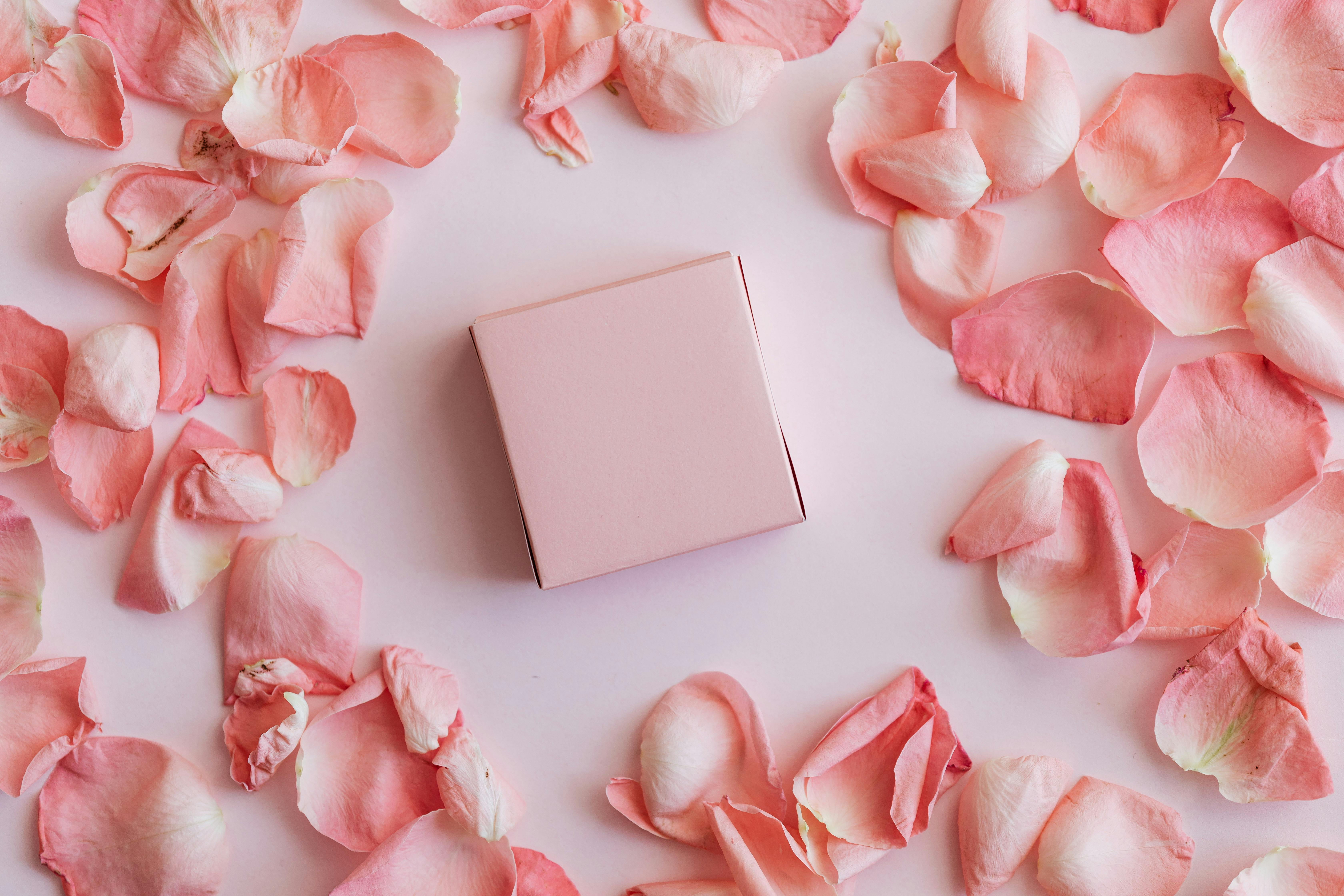 Background texture of beautiful delicate pink rose petals Stock Photo -  Alamy