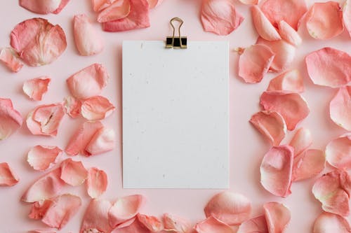 Sheet of paper and pink rose petals