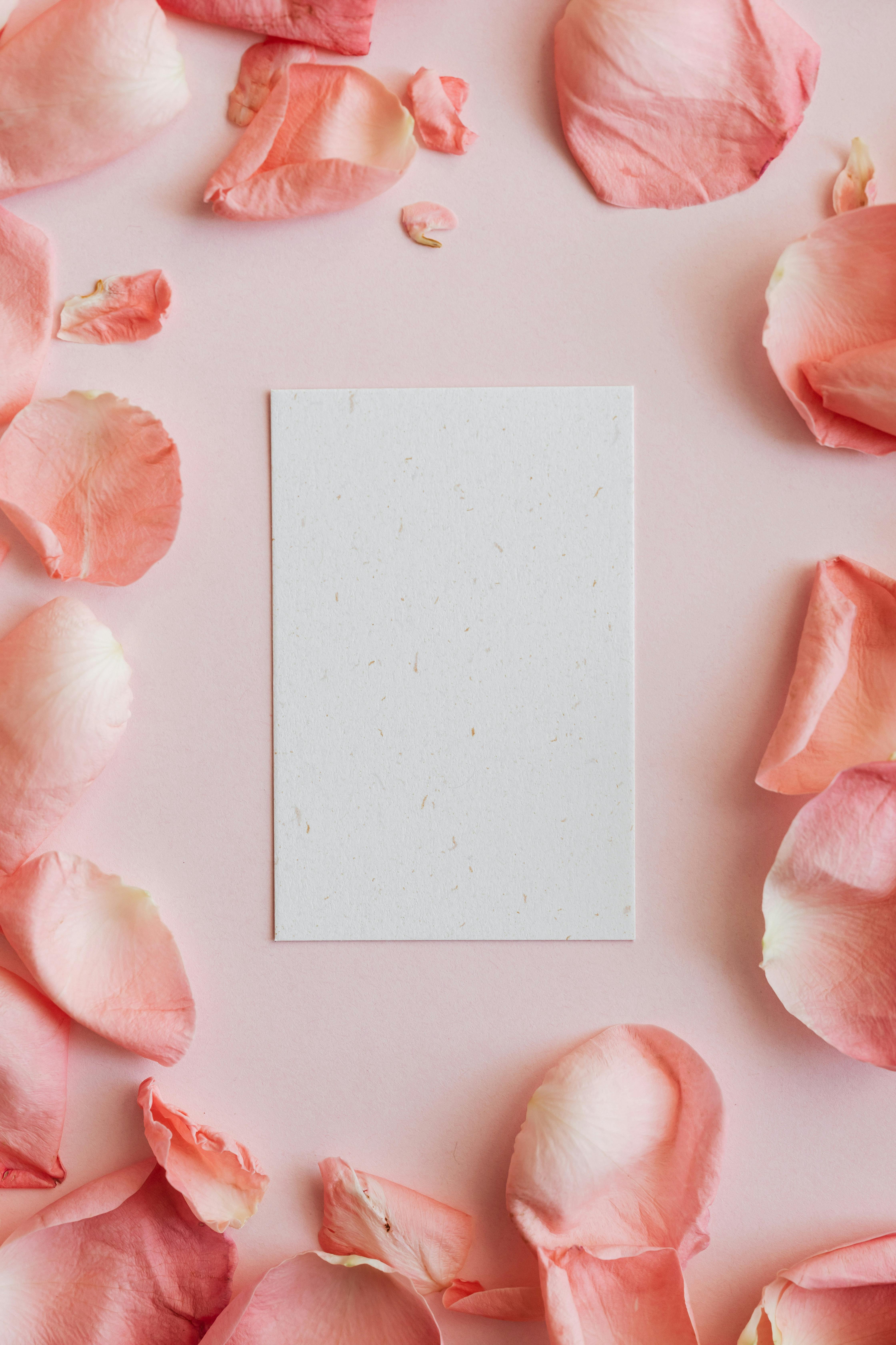 empty card among pink rose petals