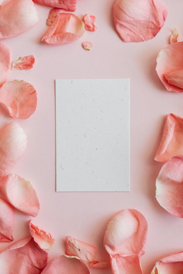 Top view closeup of small sheet of white paper and rose petals placed on pink surface